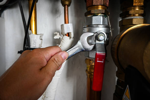 Best Clogged Drain Plumber  in Twain Harte, CA